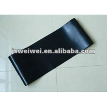 PTFE fusing belt